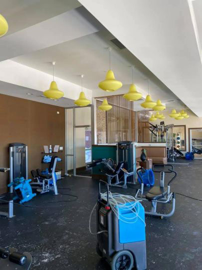 Water mitigation Mold Remediation in Naperville, IL